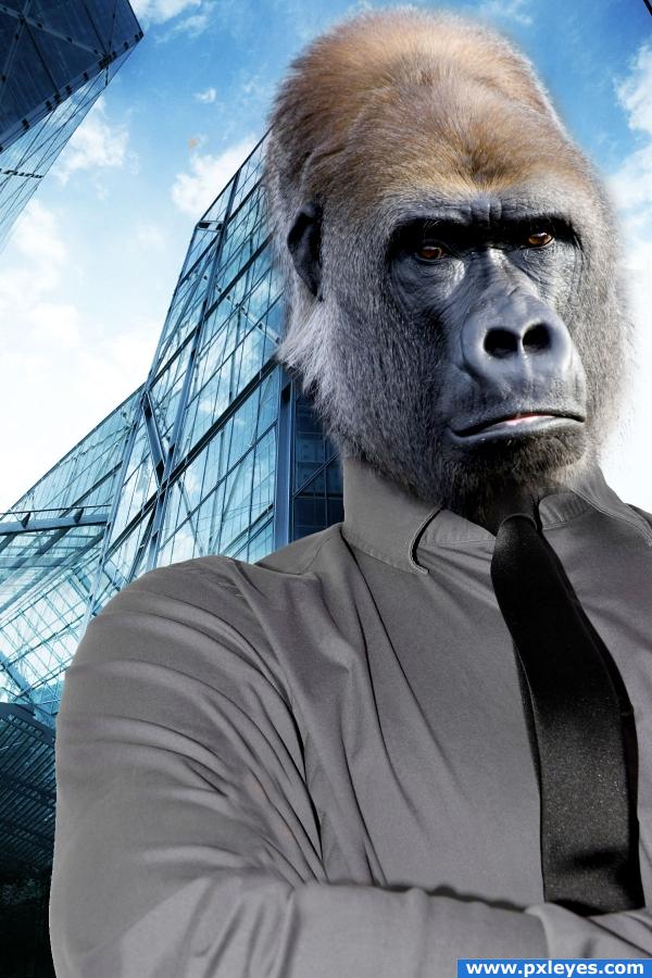 The business monkey